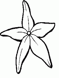 Making a Paper Starfish